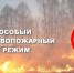 Противопожарные рейды по дачным поселкам и частному сектору проводят краевые пожарные - Район им. Полины Осипенко