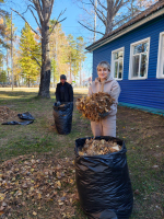 Библиотеки приняли участие в осеннем субботнике